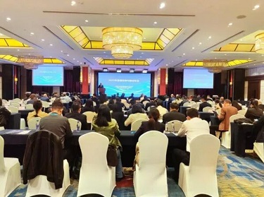 1762323530115526.jpg 001.jpg